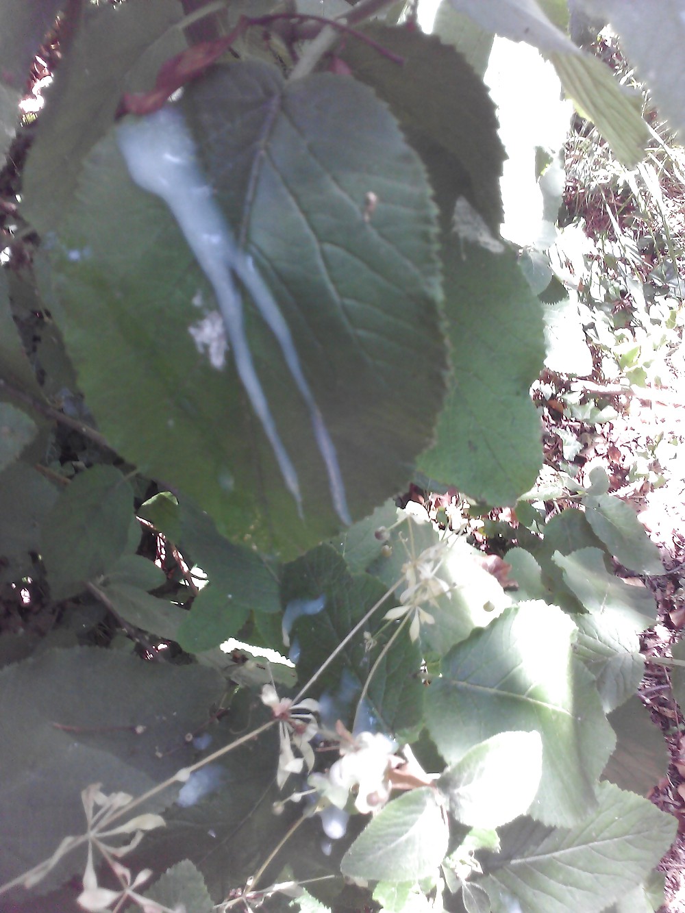 Cosas que me gustan
 #19898927