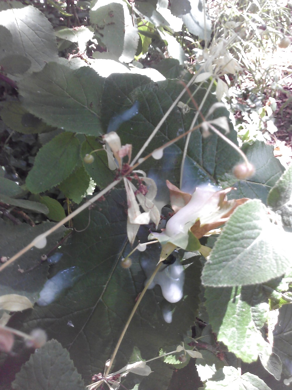 Cosas que me gustan
 #19898936