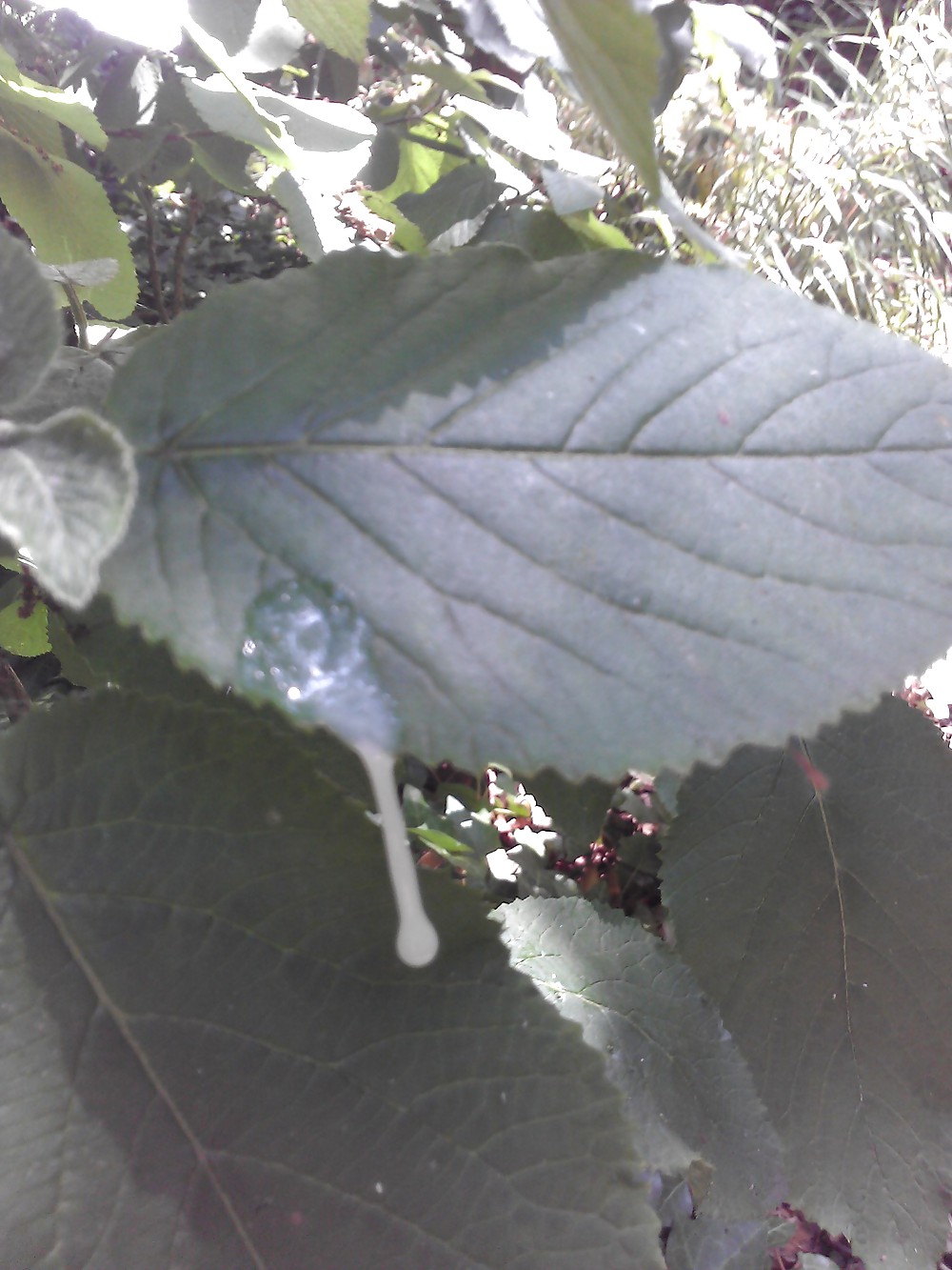 Cosas que me gustan
 #19898942