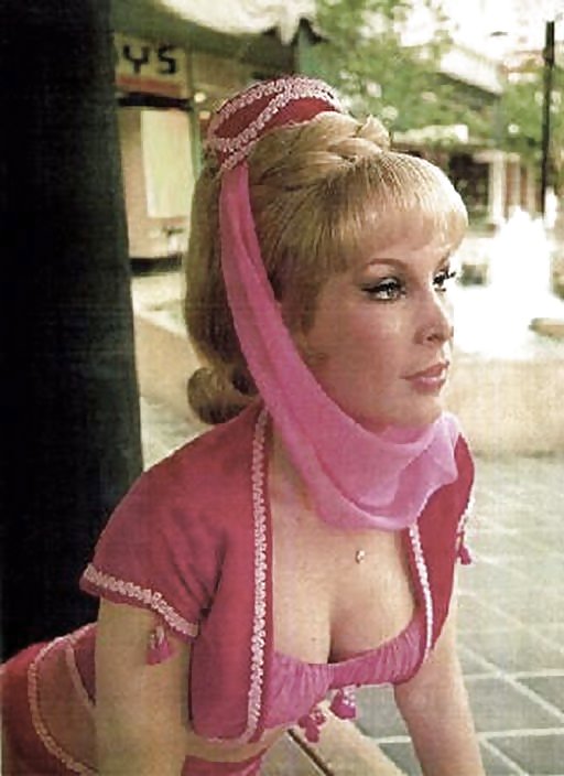 Barbara eden da zarzo
 #8960731