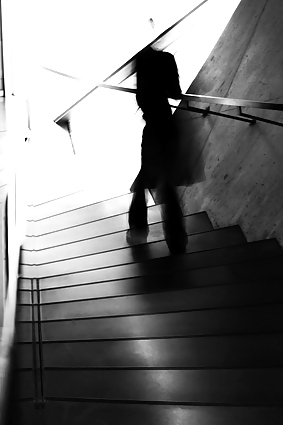 Shadowland #17022280
