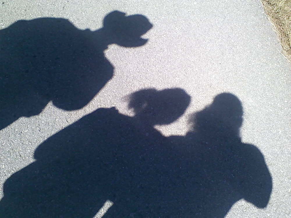 Shadowland #17022287