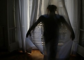 Shadowland #17022309