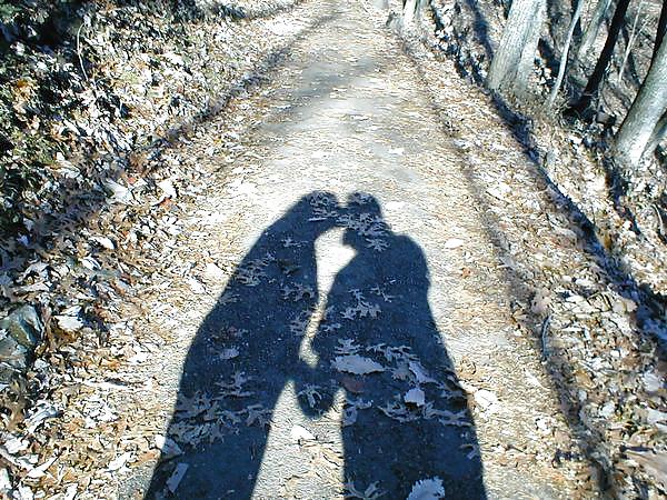 Shadowland #17022323