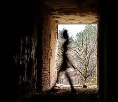 Shadowland #17022338