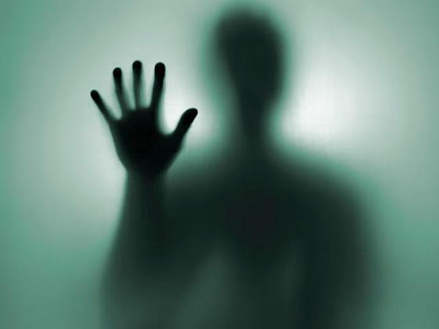 Shadowland #17022364