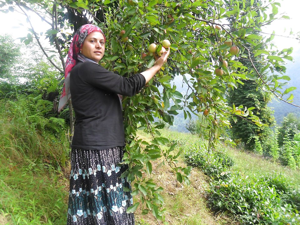 Türkisches Arabisches Hijab, Turban Tragenden Asiatisch Aus #18507379