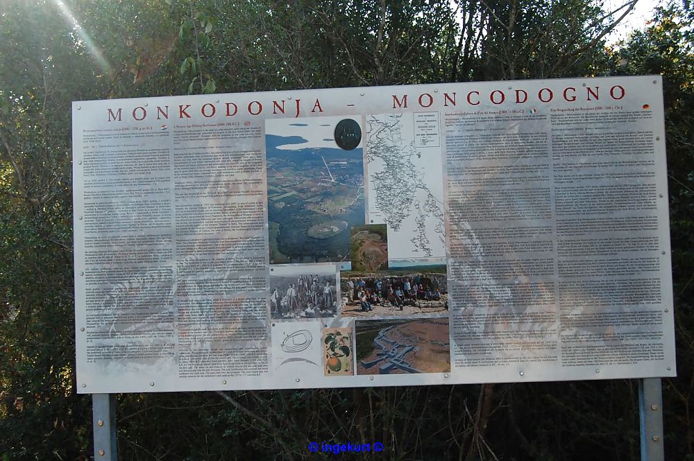 In Monkodonia #6149284