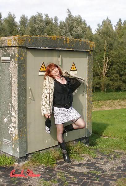 外での写真をもっと見る
 #21864895