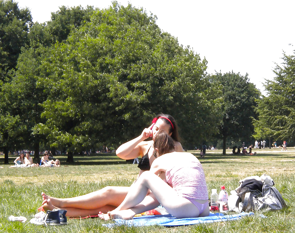 Zwei Hündinnen Im Park #16667076