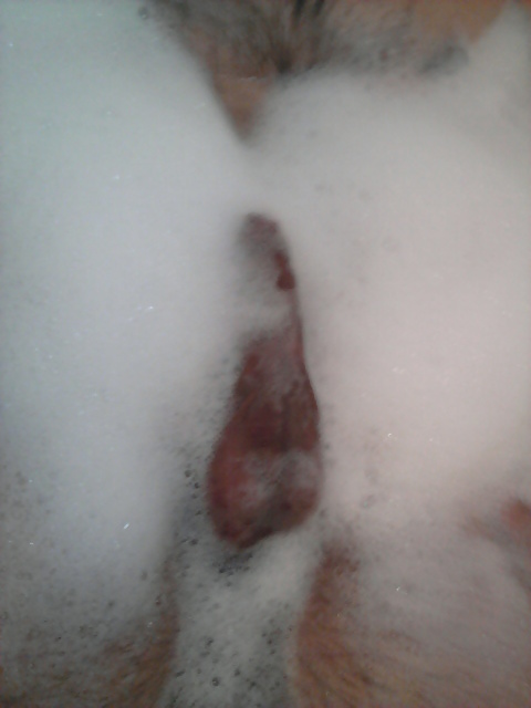 ...a sad malo ja  .... #5541061