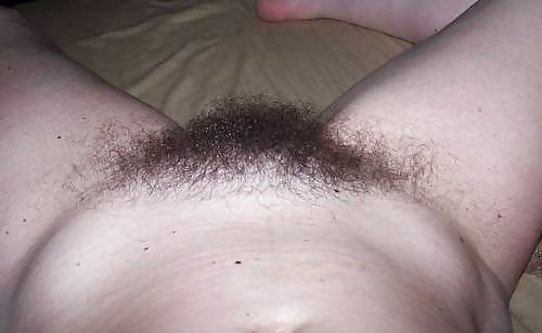 I love hairy 1 #3815096