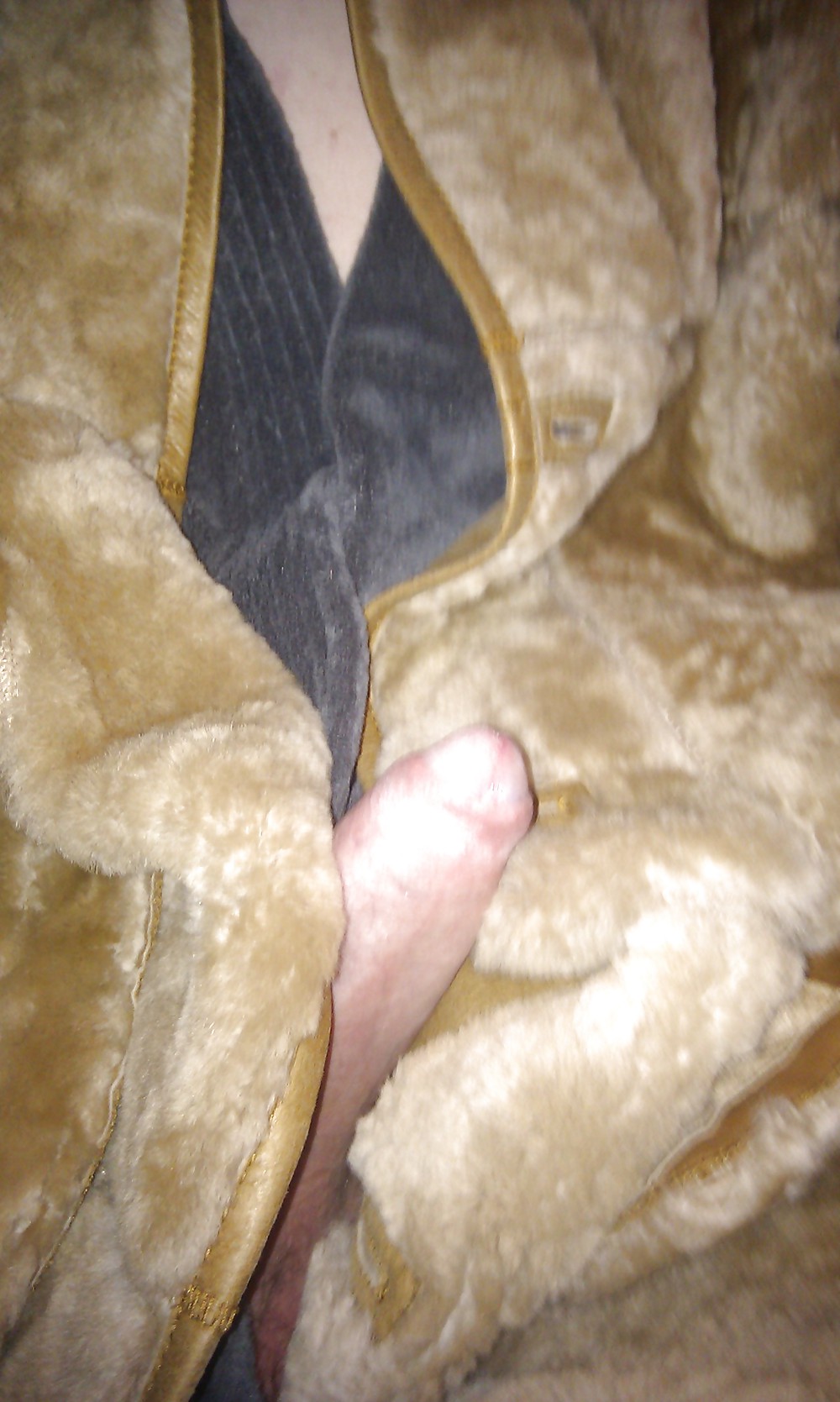 My Fur Coat #8344888