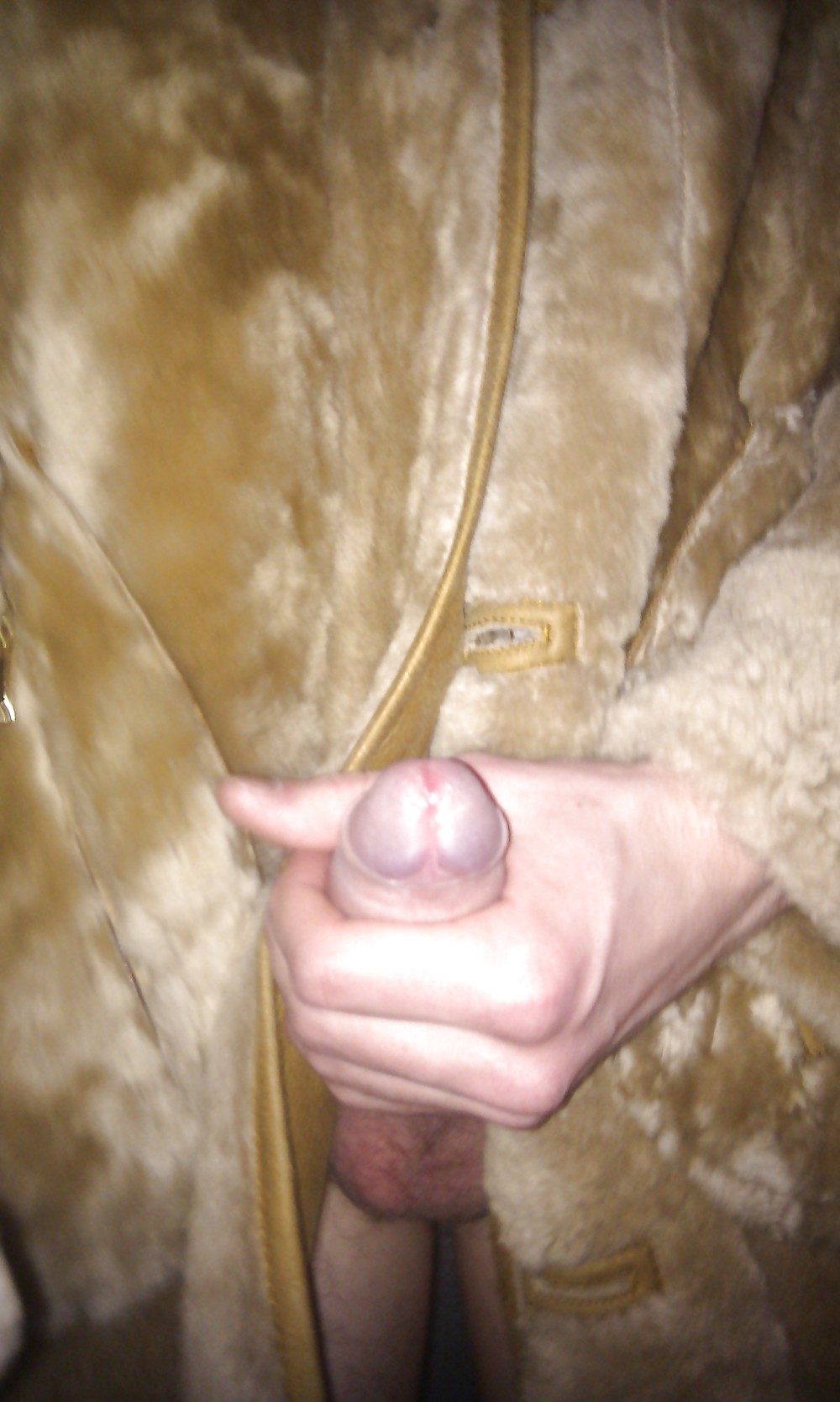 My Fur Coat #8344900
