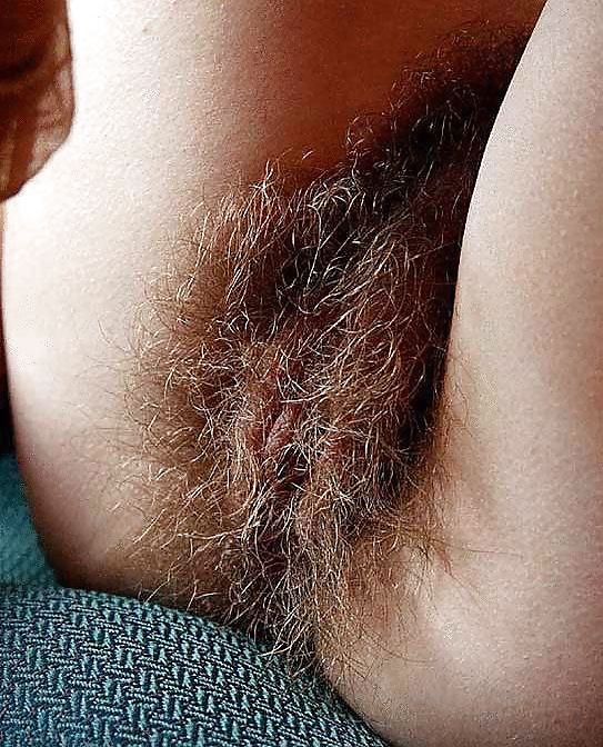 More Luscious Hairy Pussies #9319271