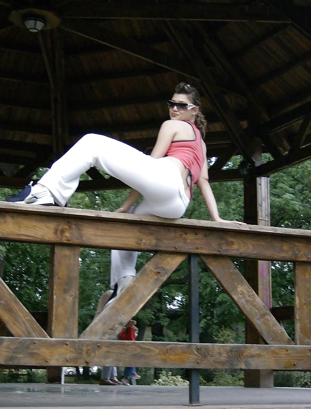 フォトギャラリー 
 #12239229