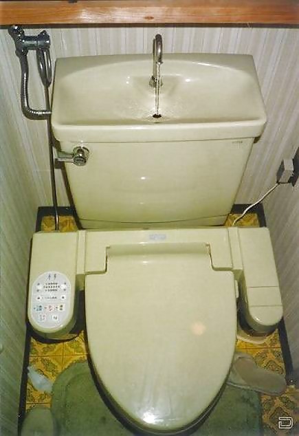 Toilet #1585794