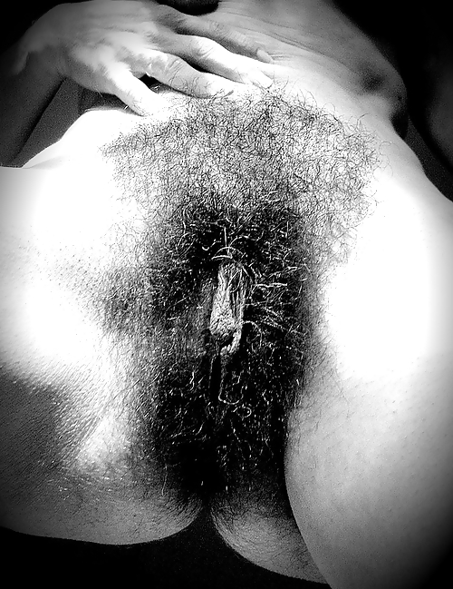 Hairy dreams 229 #17659838