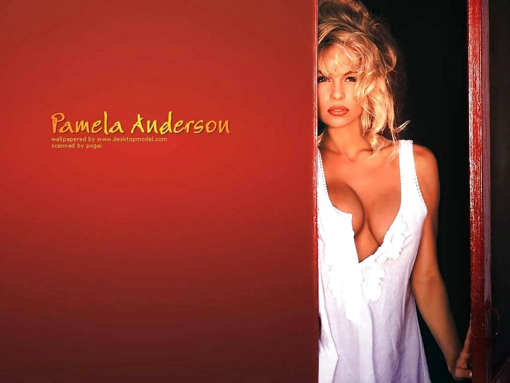 Pamela Anderson Mega Collection #10346740