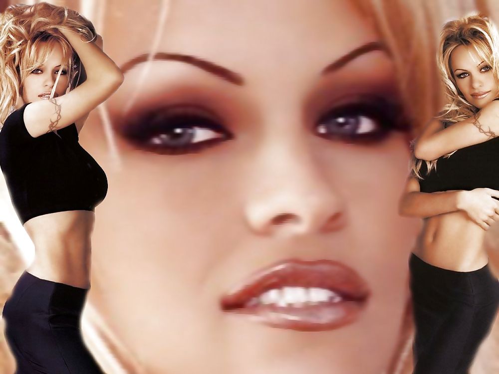 Pamela Anderson Mega Collection #10346973