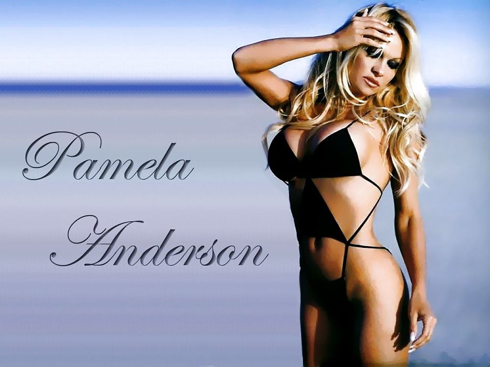 Pamela Anderson Mega Collection #10347045