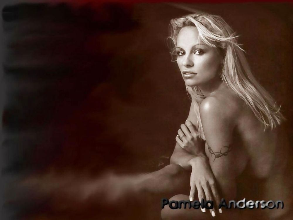 Pamela Anderson Mega Collection #10347265