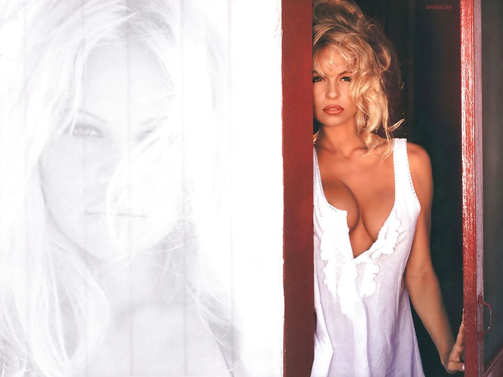 Pamela Anderson Mega Collection #10347337