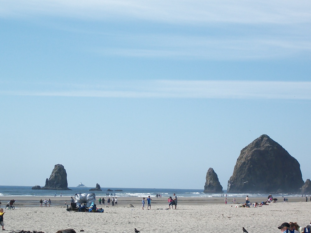 Oregon coast 2011 #5082377