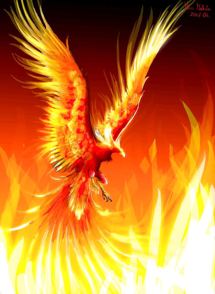 PHOENIX 2 #14611157