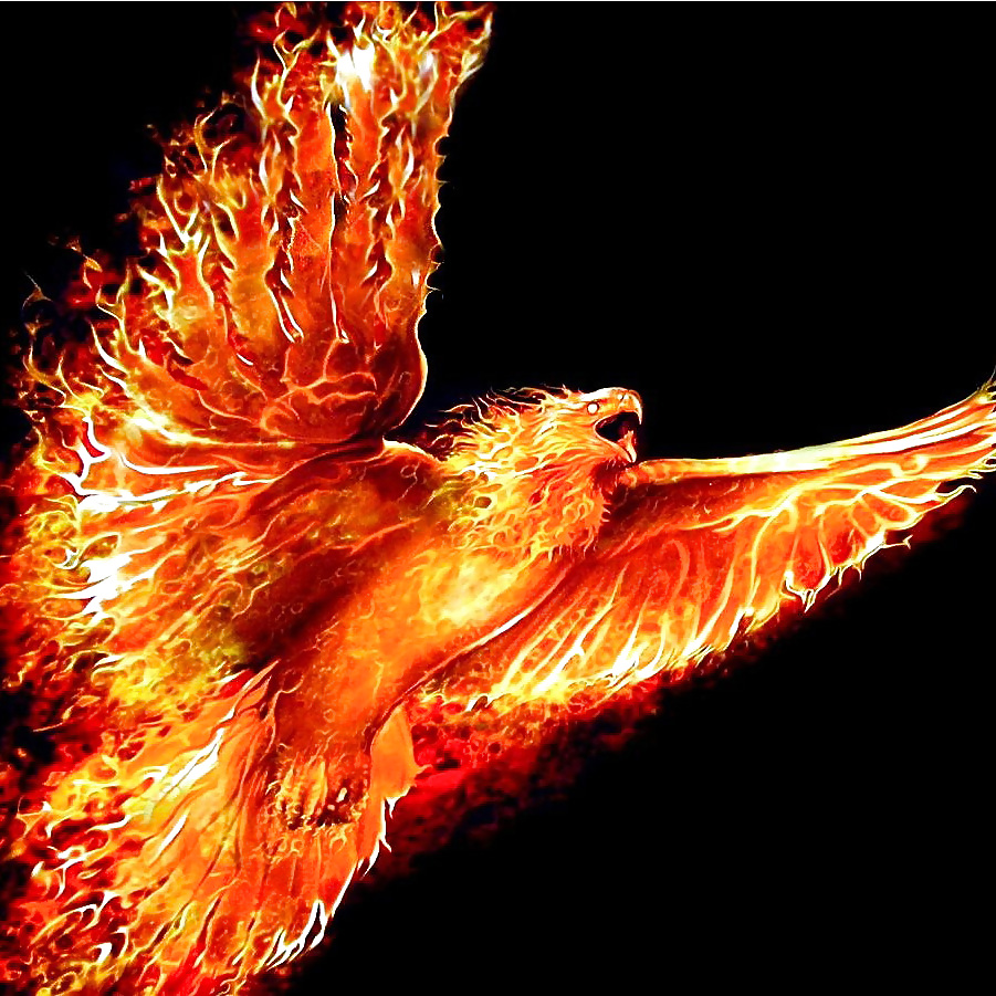 PHOENIX 2 #14611170