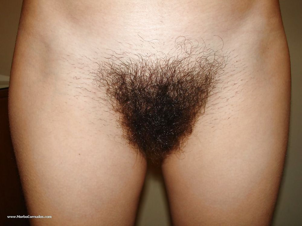 Hairy bush in your face 4 #4722910