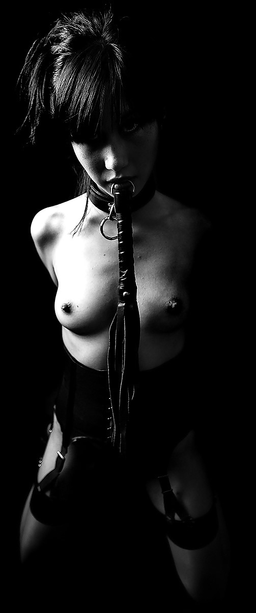 Muse #9596524
