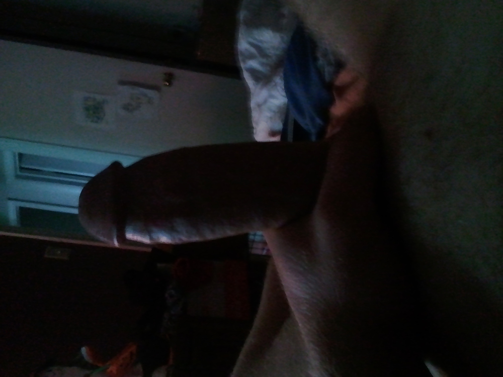 Paja matutina
 #14048918