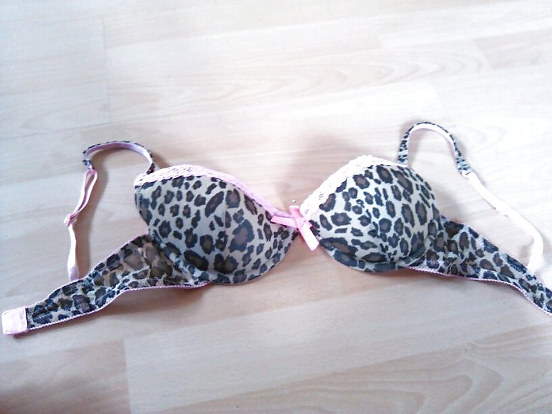 Used bras, part 6 #21582854