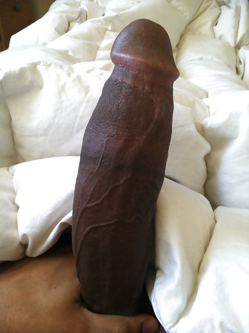 My dick ready to fuck white pussies #14692549