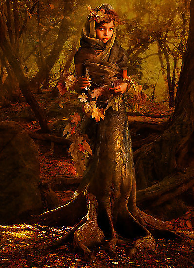 Dryad #16531804