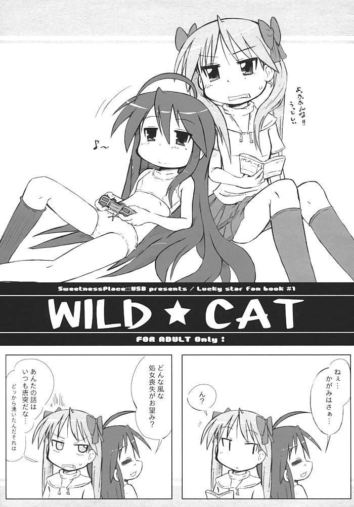 Lucky star - gatto selvaggio (jpn)
 #233900