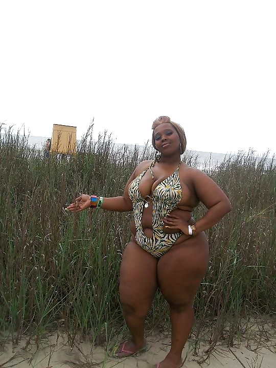 スパイシー・ケイジャン(Spicee Cajun)
 #22301290