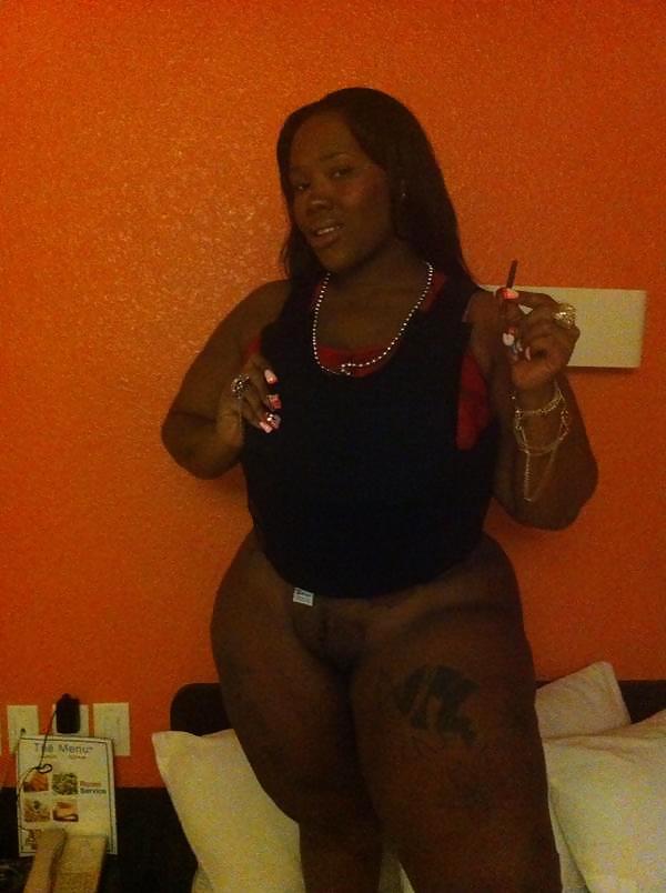 スパイシー・ケイジャン(Spicee Cajun)
 #22301348