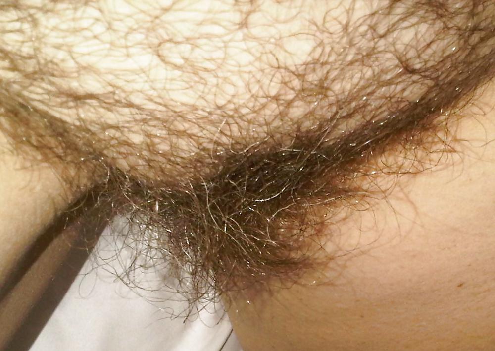 Hairy Amateur - Jotha Hele #10112369