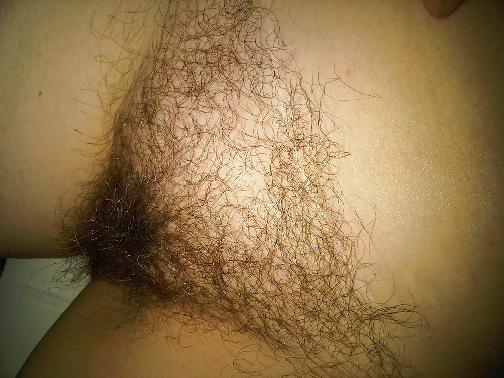 Amateur Hairy - Jotha Hele #10112371