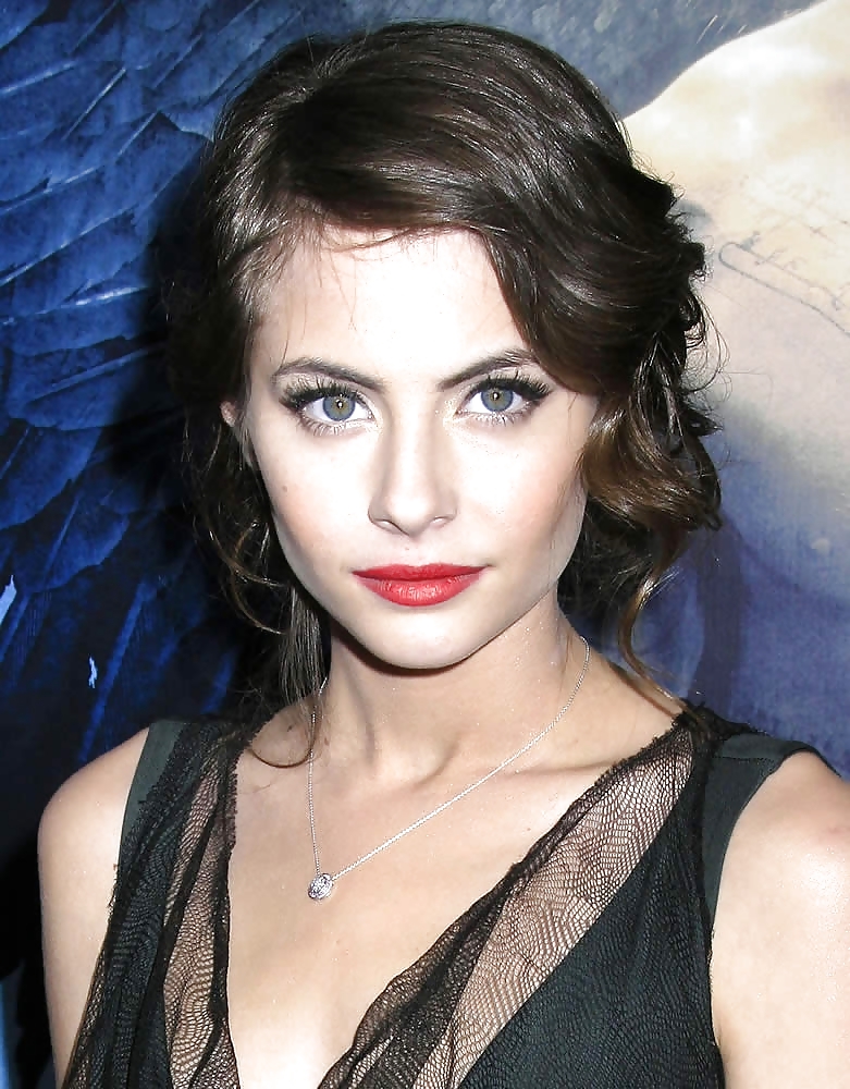 Willa Holland Collection #13646495