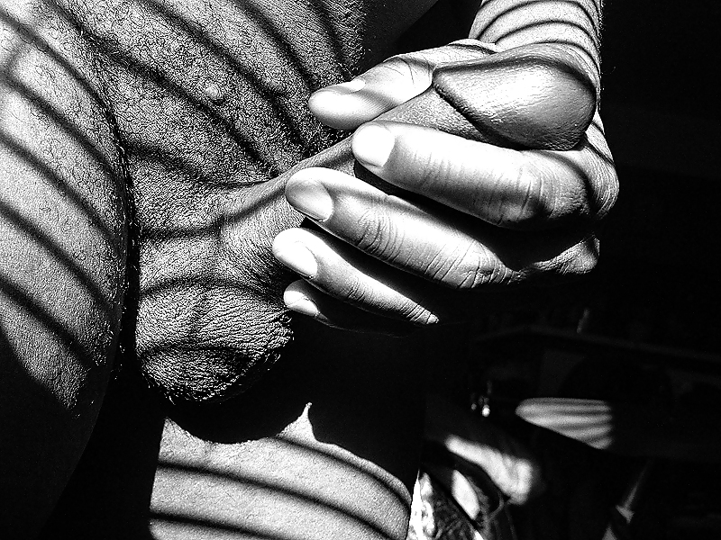 Abstrait B & W Cock #12604458