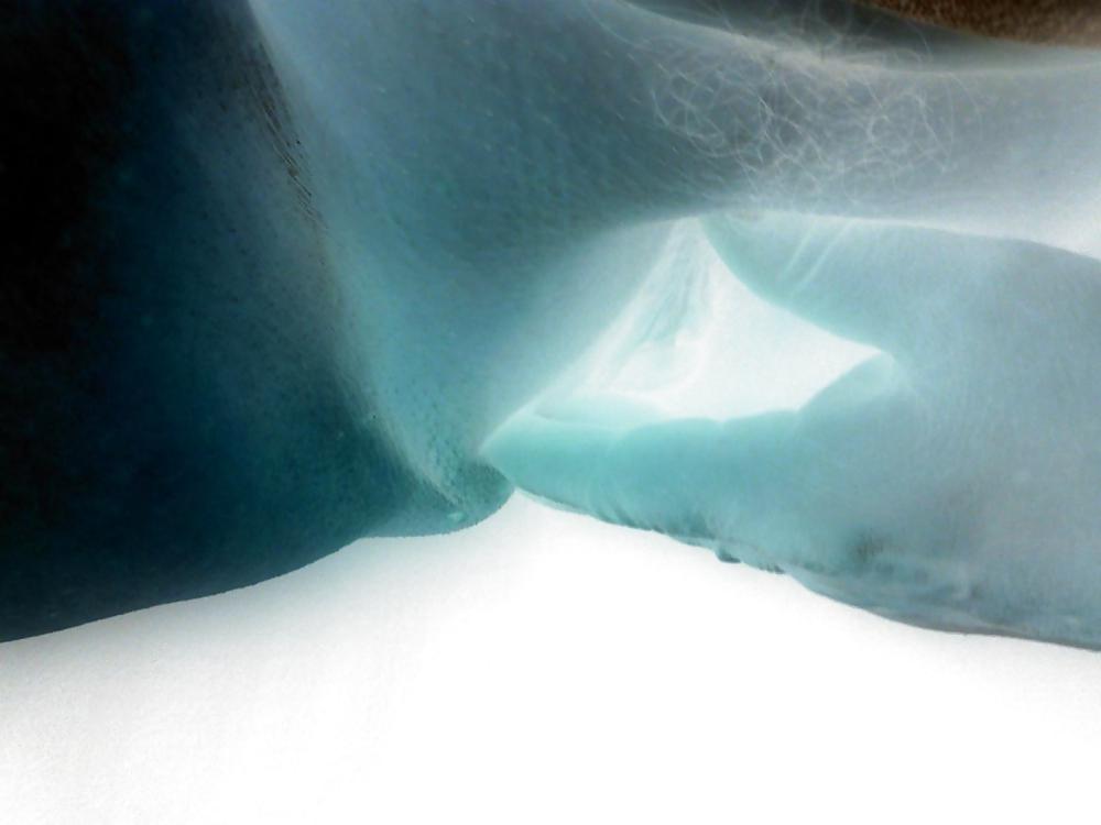 ネガティブ
 #10829558