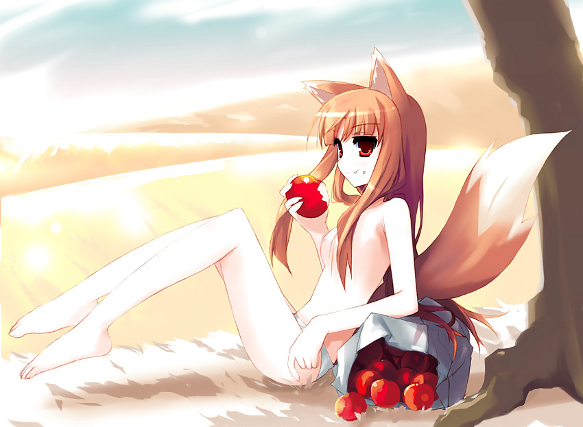 Horo - spice and wolf
 #3272382