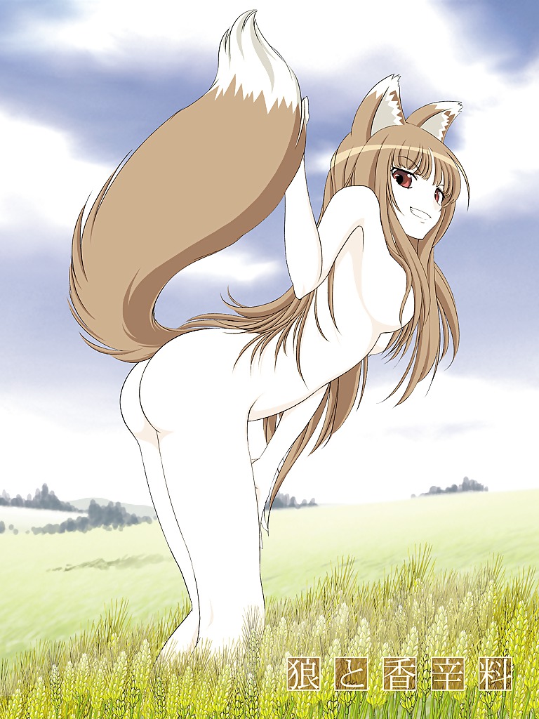 Horo - spice and wolf
 #3272553