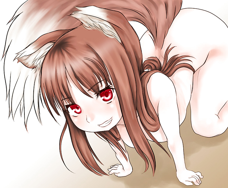 Horo - spice and wolf
 #3272742