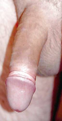 Big hanging cocks #14008915