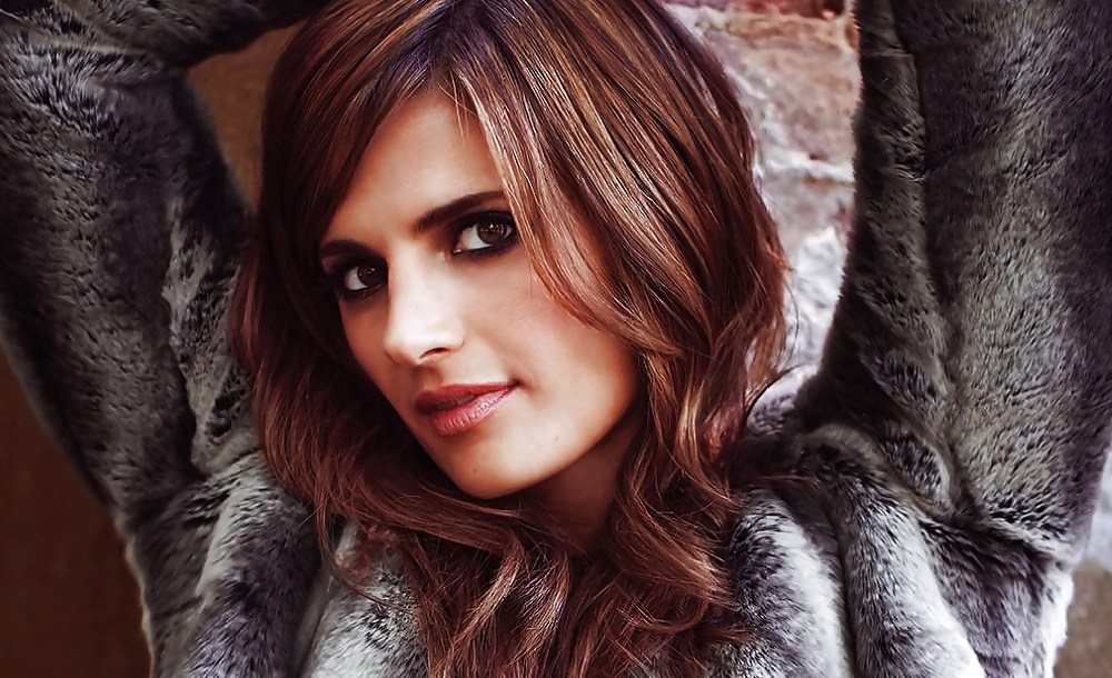 Stana Katic #20510957