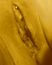 My collection #14644820